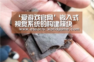 爱游戏官网