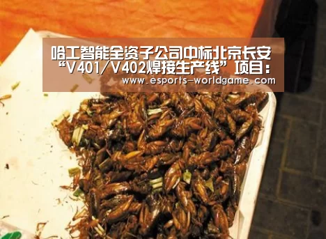 哈工智能全资子公司中标北京长安“V401/V402焊接生产线”项目:爱游戏官网(图1) 爱游戏体育下载