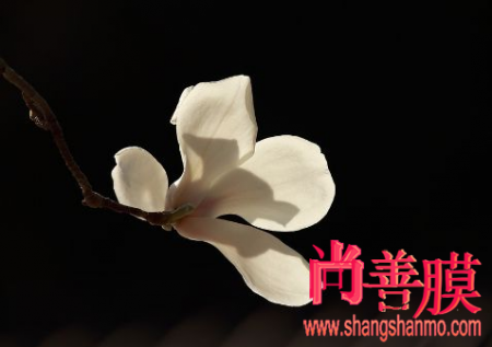 爱游戏官方|贺剑锋:推动工业制造智能升级